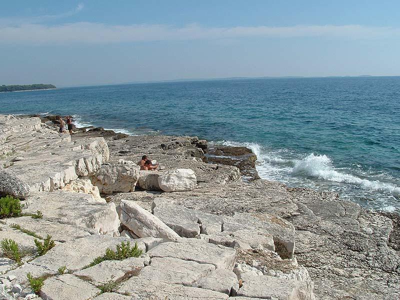 With Garden In Barbariga